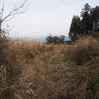 駐車場近くにも⛩️があります