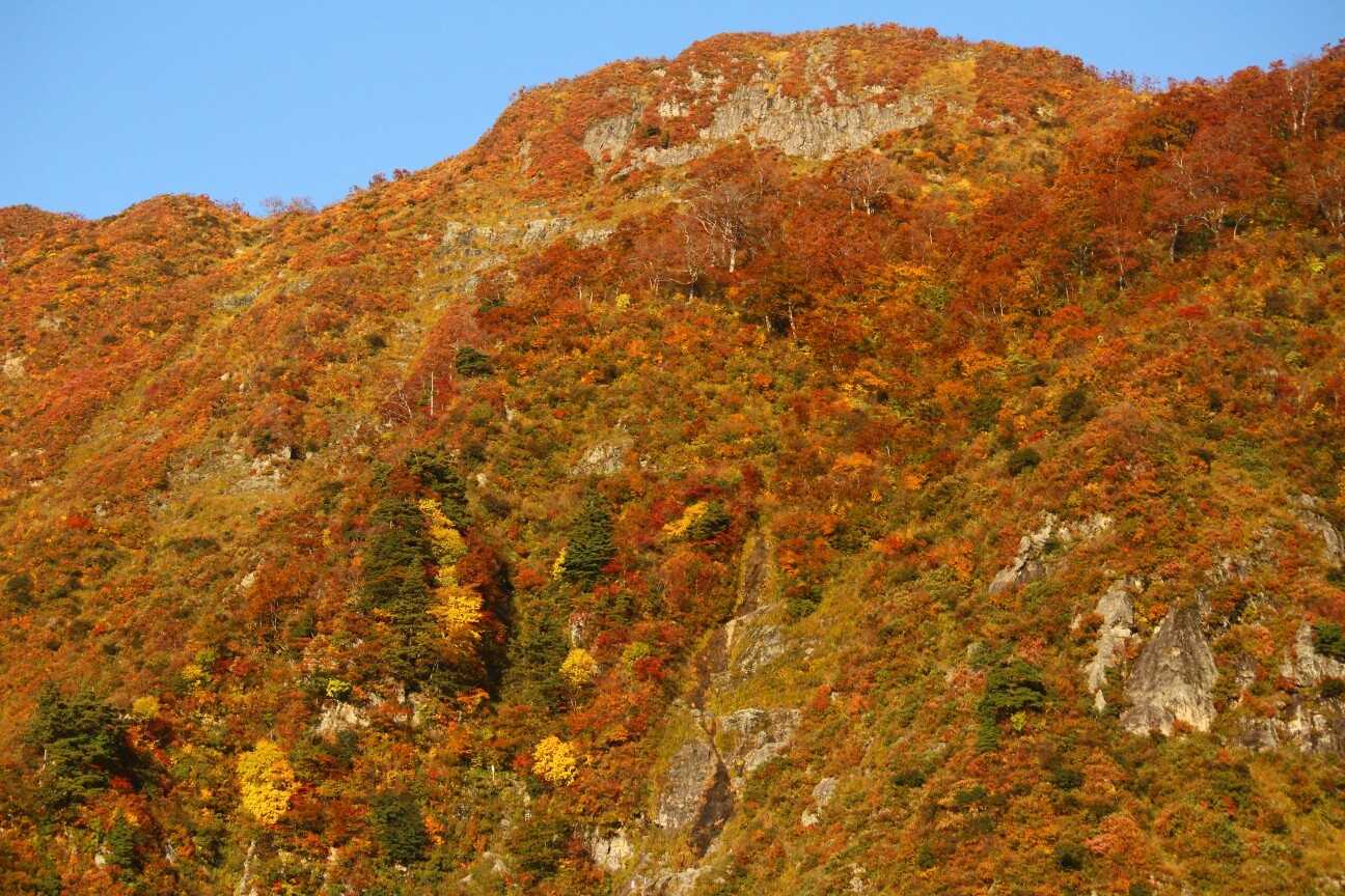 摩耶山の写真