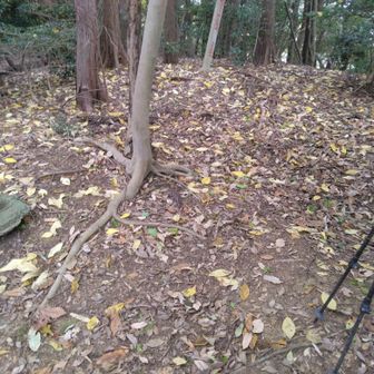 ⑥隈目の帯隈山（別名西日ノ隈山じゃないかなぁ）