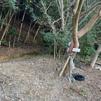 ただいま。
久しぶりの山行のせいか、疲労感がすごい。蔵王山に寄ろうと思ったけど無理。
エネルギーが足りなかったらしく、車に乗った後、どんどん寒くなる。今からカレー食べに行くから我慢我慢。寒いー。