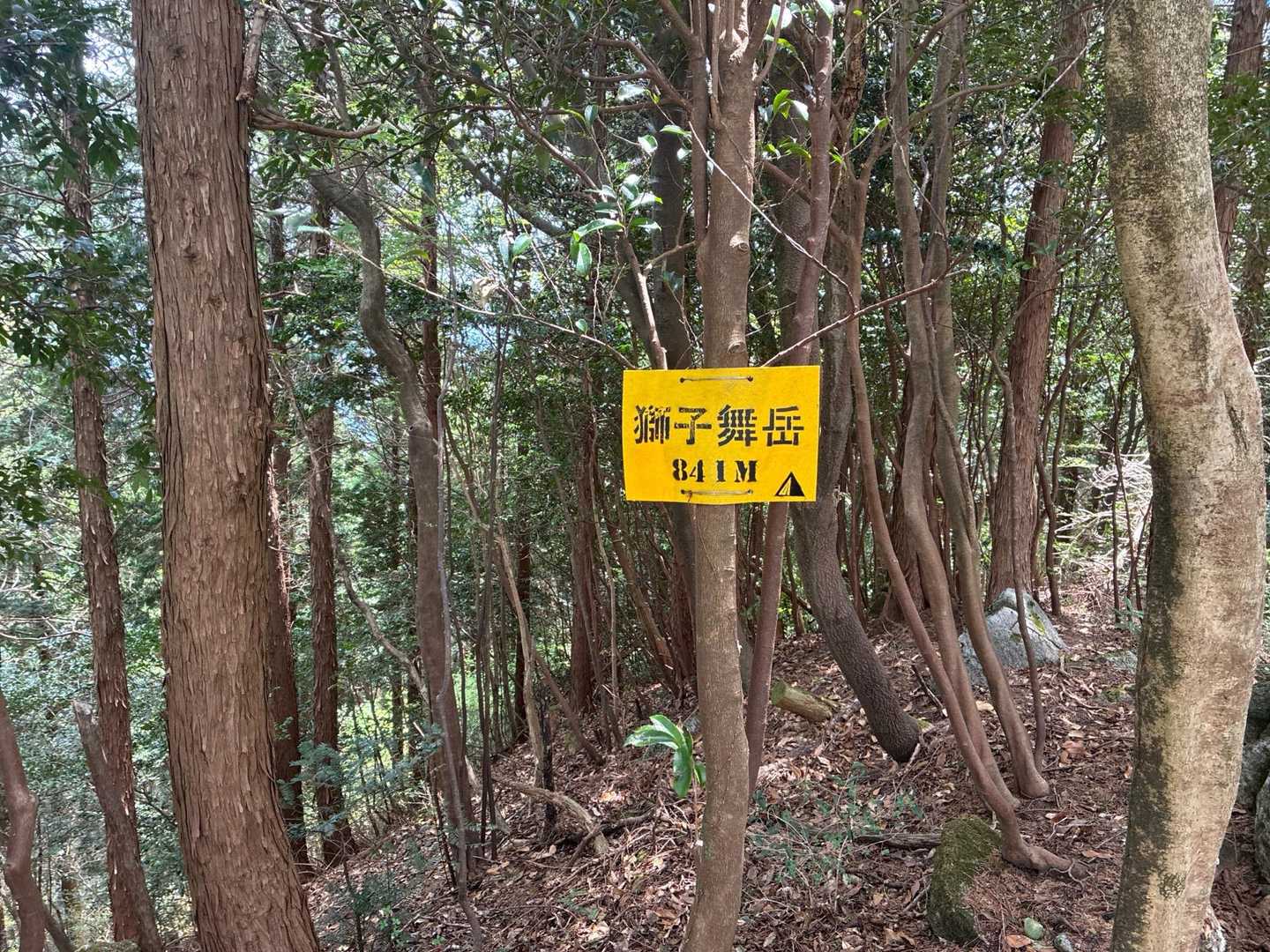 景色見えず‥