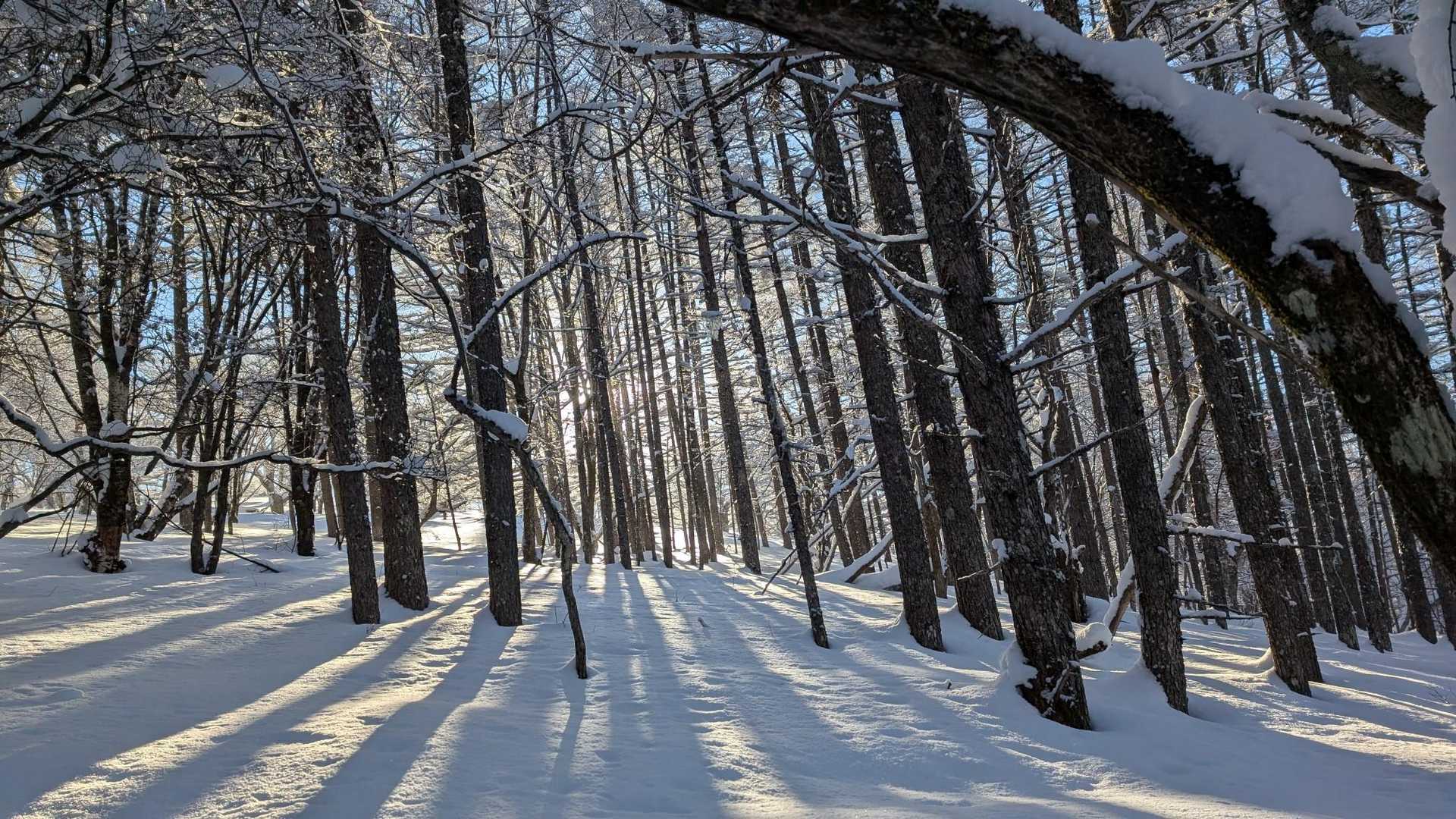 すずらん峠-蓼科山 往復コースの写真