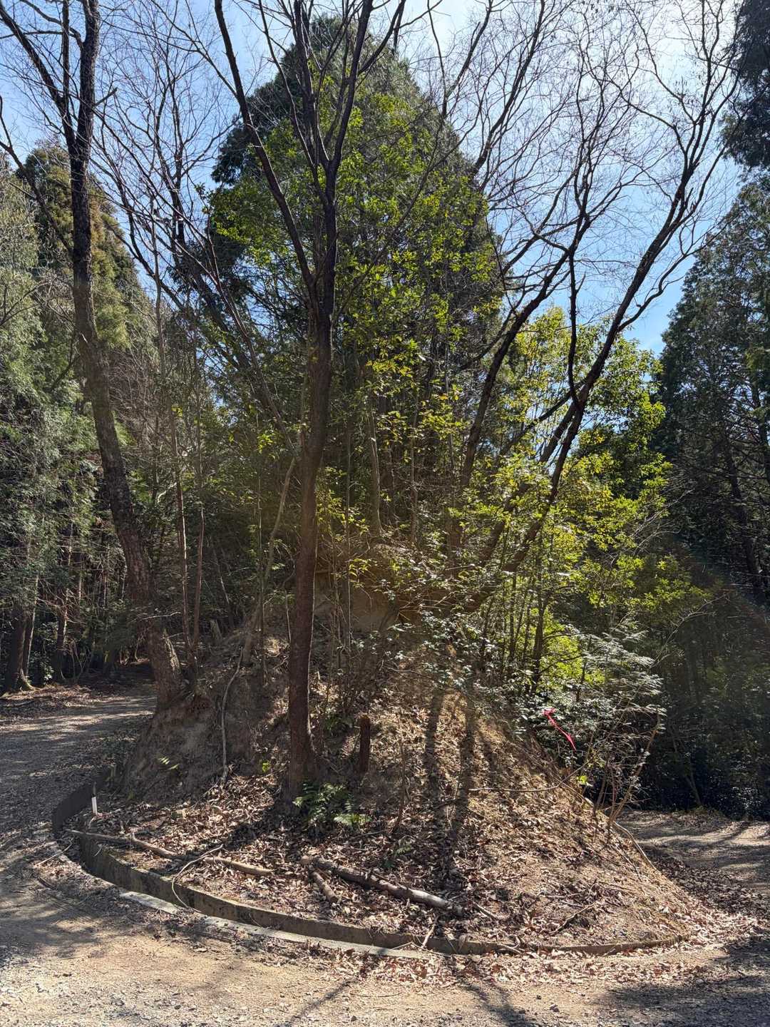 林道をずっと歩くと🚶‍♀️癒される場所🤗