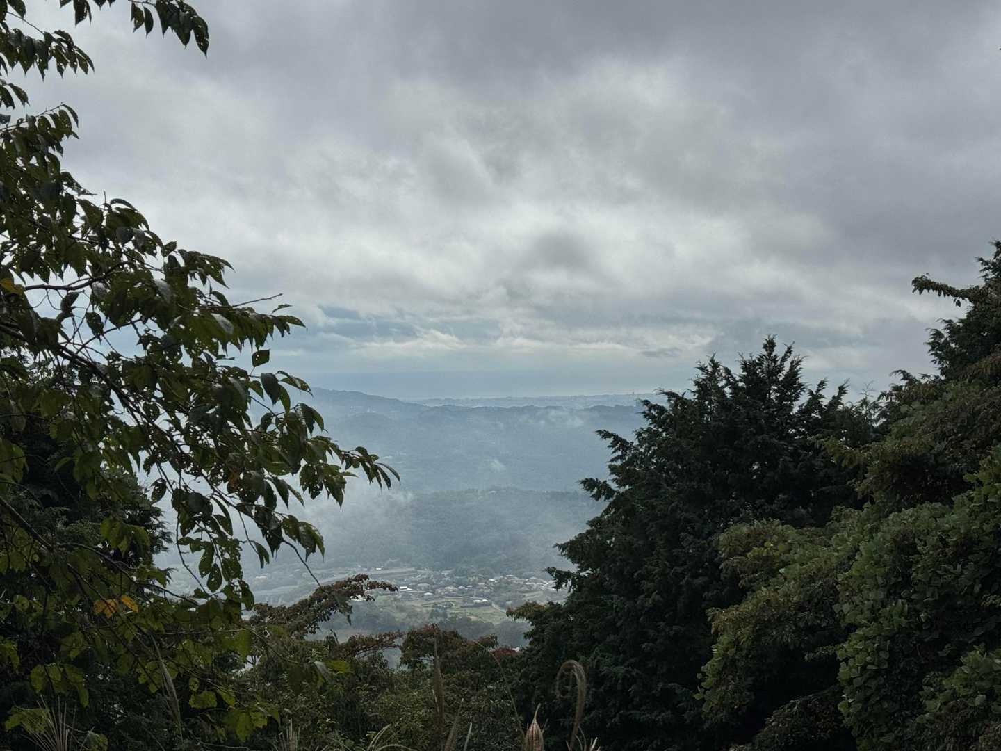 大倉バス停-観音茶屋-堀山 往復コースの写真