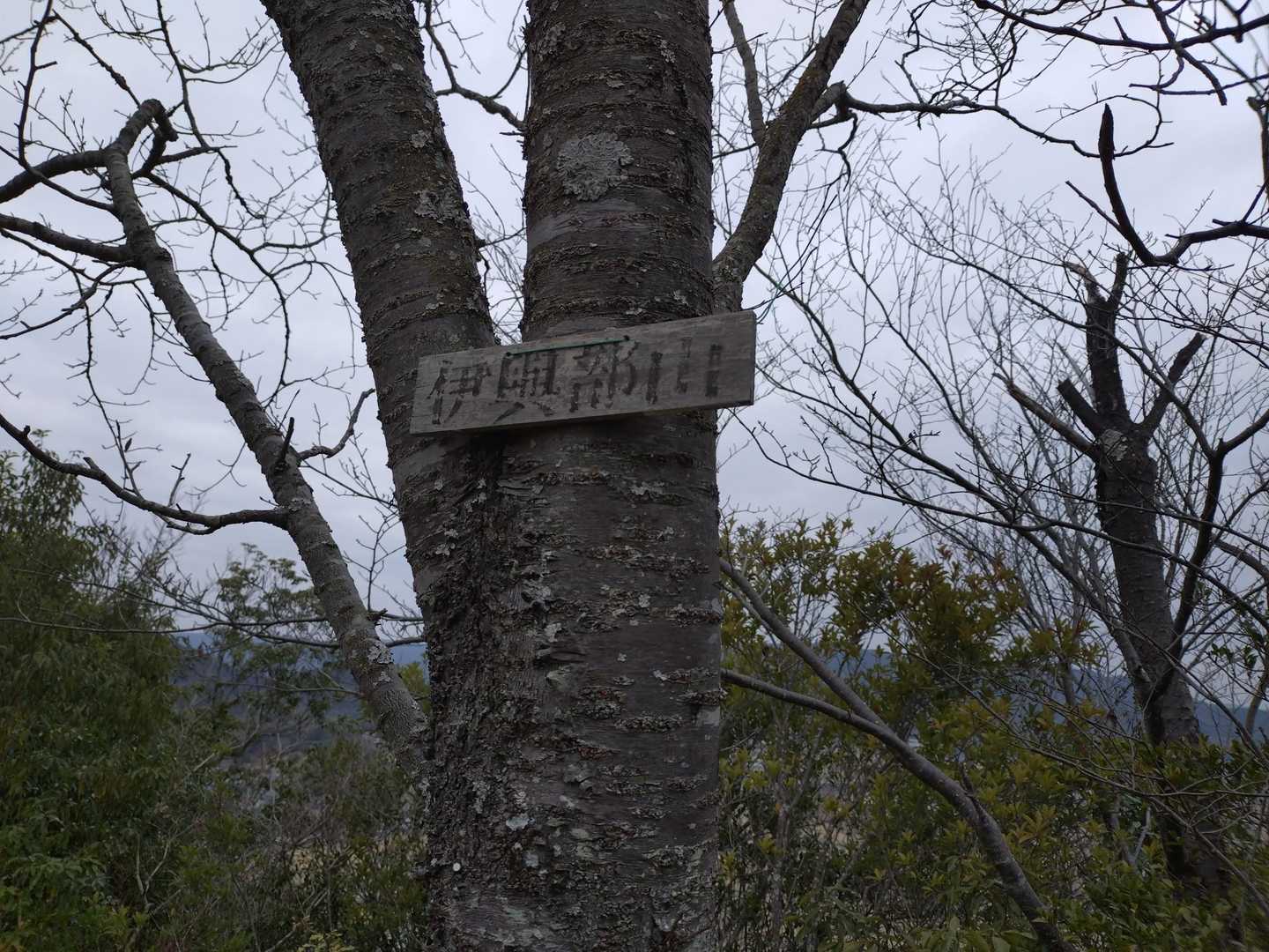 伊與部山🔺