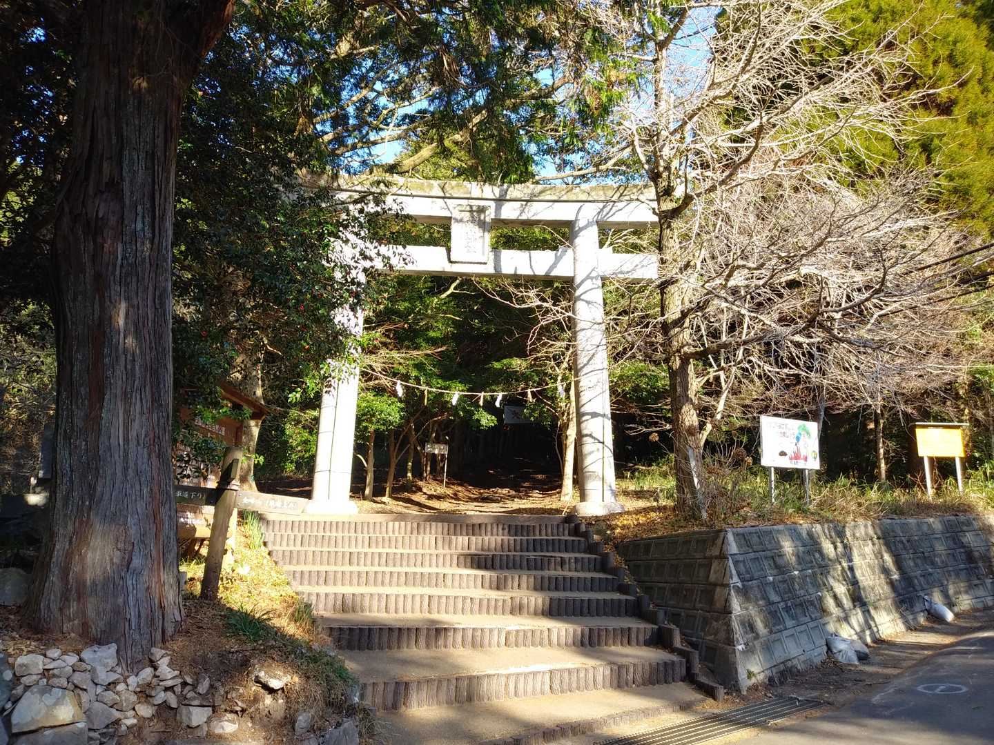 大鳥居に一礼して登山道へと入る。