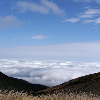 雲海が素敵ー