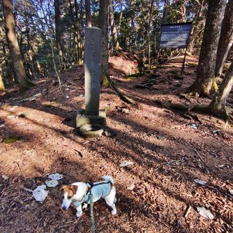 途中、石塚山のピークを経由して、本栖風穴に到着しました😊