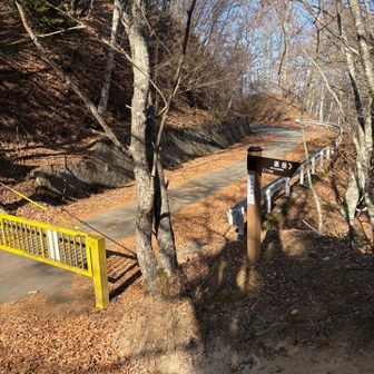 一度、林道に出て(日向坂峠