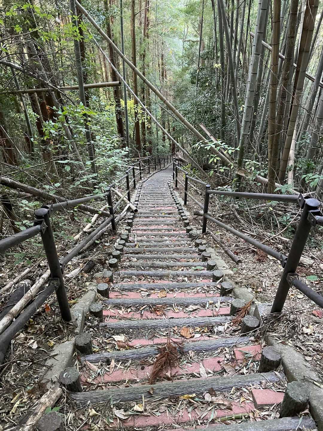 しかも長い😅
登ってる途中振り返って📸