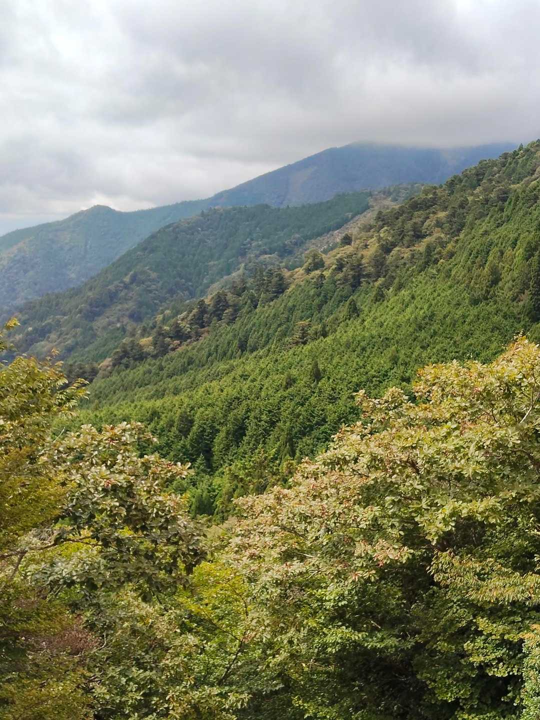 武平峠-御在所岳 往復コースの写真