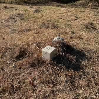 三角点ありました