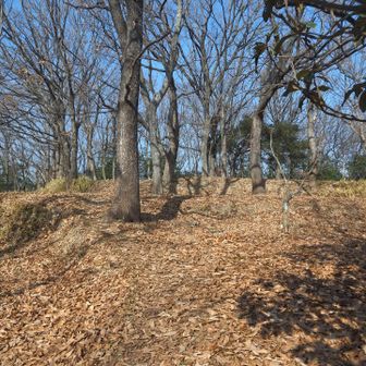 広い山頂に到着したが