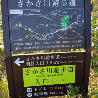 さかさ川遊歩道を通って駐車場まで戻ります