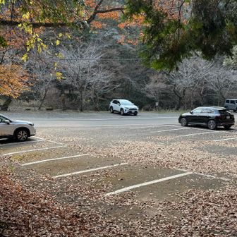 駐車場まで戻ってきてゴール