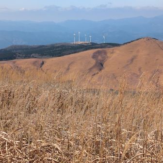 風力発電の風車🌬️が見えます😄
