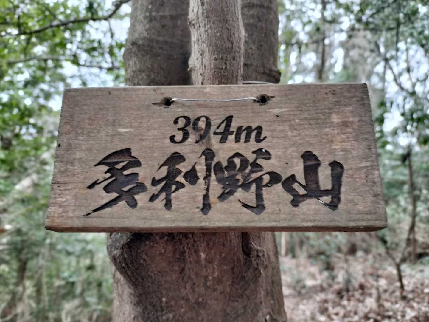 富幕山登山口-多利野山-狩宿山-黒松峠-下の浅間山-上の浅 往復コースの写真