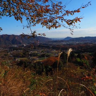 桜山展望台から