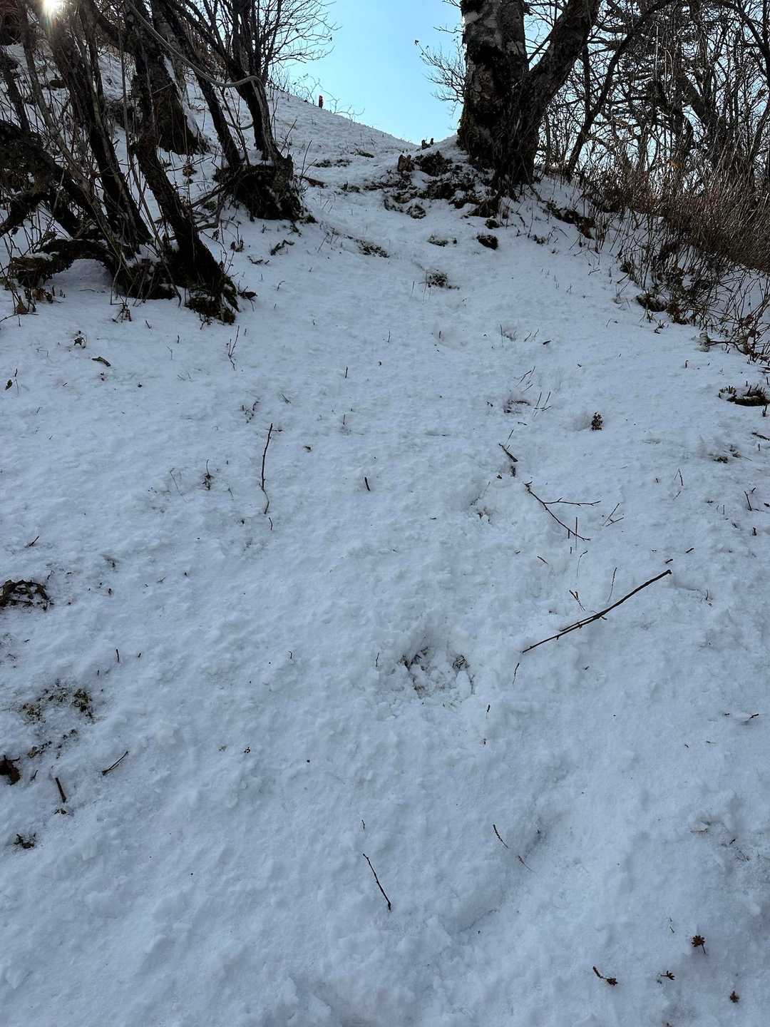ラスト☝️オホーツク展望台の手前の急登は完全👍に雪❄️

2〜3㌢は有りましたね☝️もっとかなぁ😰…