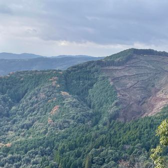 今日は遠くまでは見通せず
山作業もお休みですね
