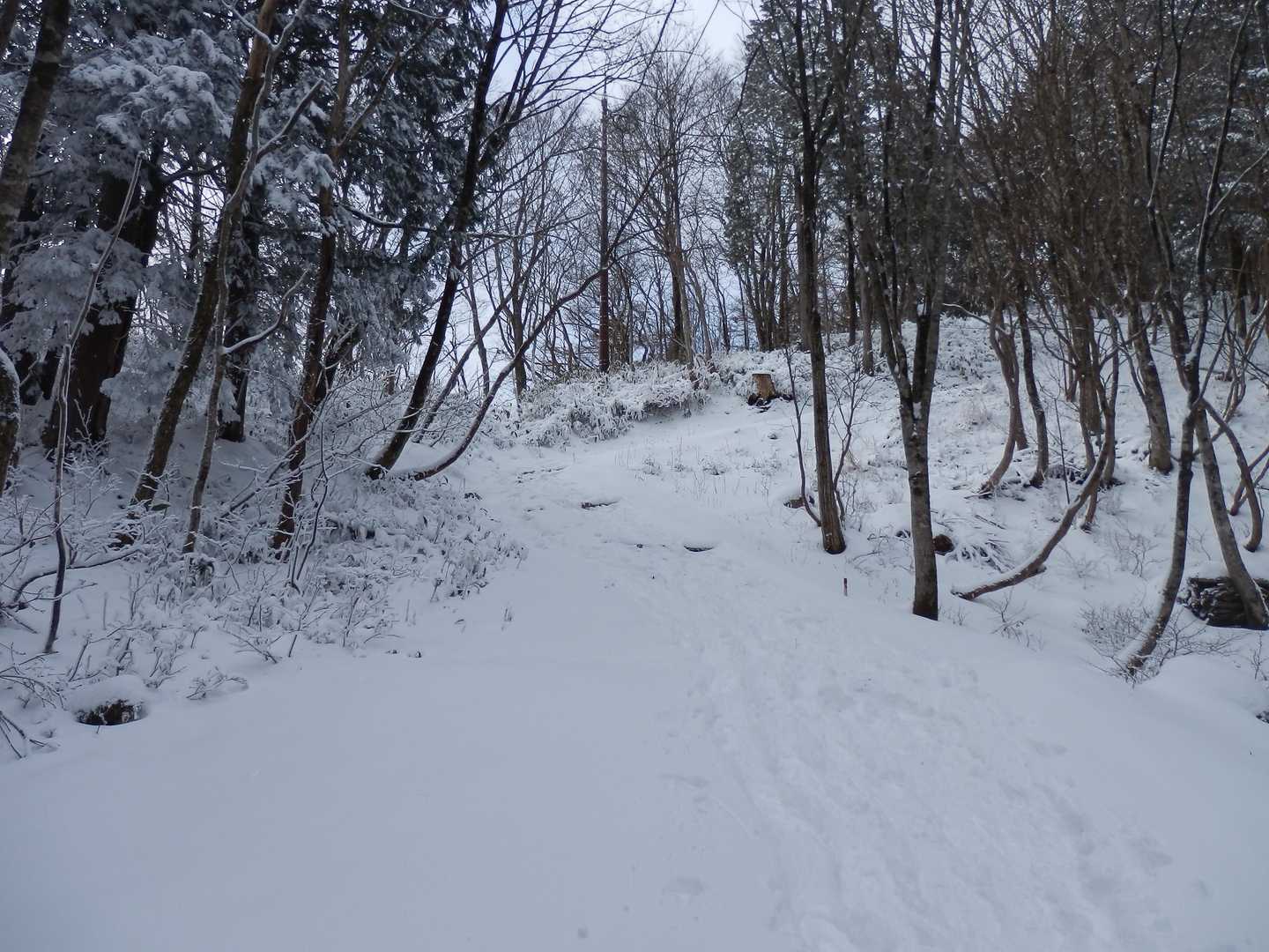 丁度歩きやすい積雪量