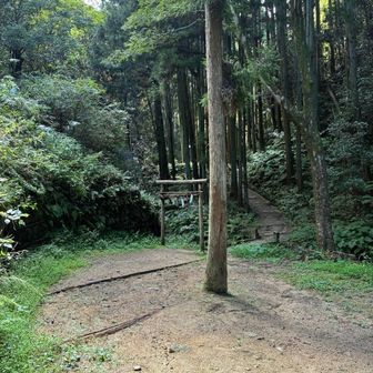 権現滝を通過します。