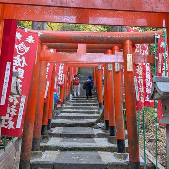 銭洗弁財天から佐助稲荷神社に寄りました