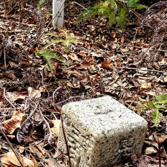 　▲四等三角点　天王　136m