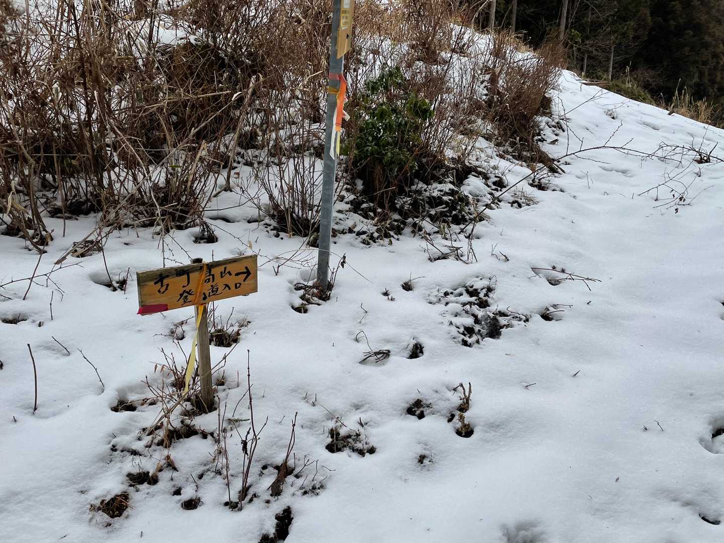 古町高山 登山口-古町高山 往復コースの写真