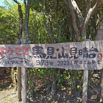 ここで疲れが吹っ飛びました