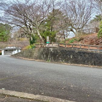 道路に出てきた
山頂まであと少し
友人親子は息切れし、息が乱れていない私はちょっと得意げなのである