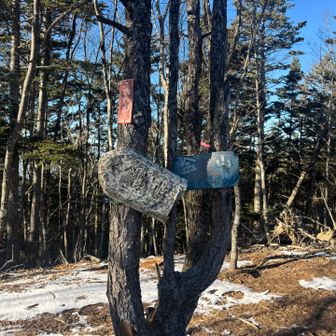 節刀ヶ岳にずっと居たい気持ちを抑え金山へ