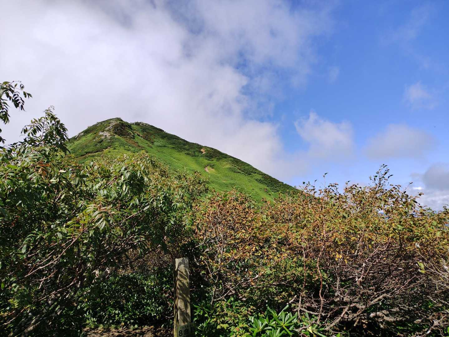俎品から下りてきた。
緑でキレイな山だな。
ここに登ったんだな。
