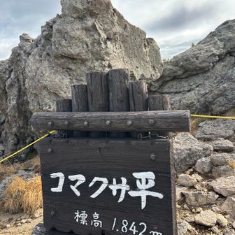 コマクサ平到着です
