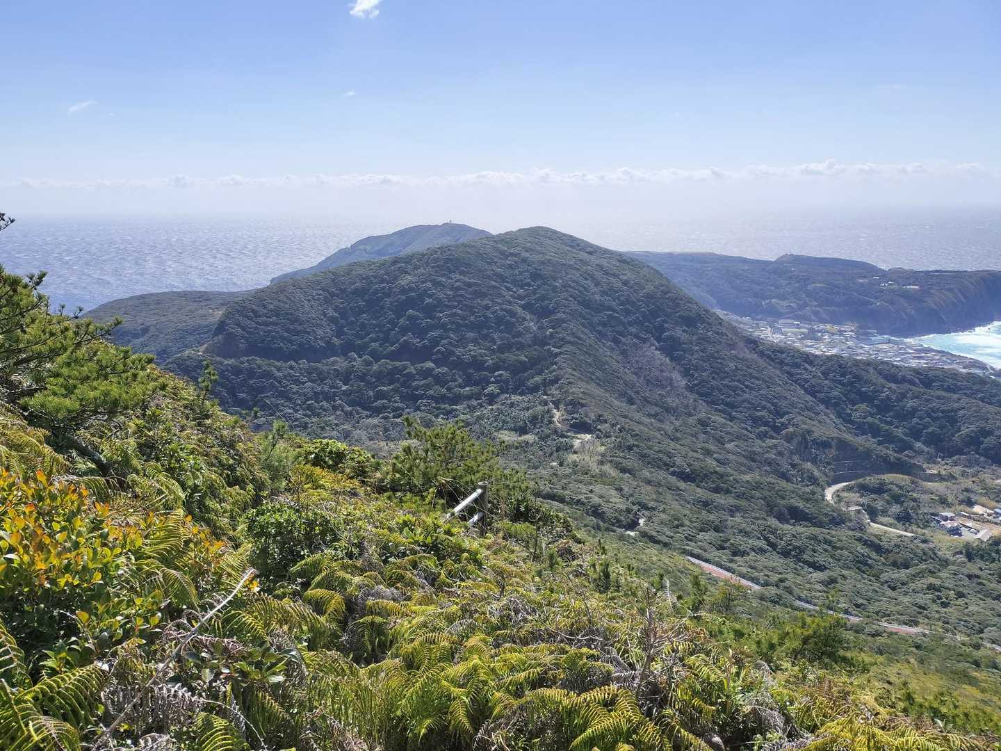 緑豊か🌳