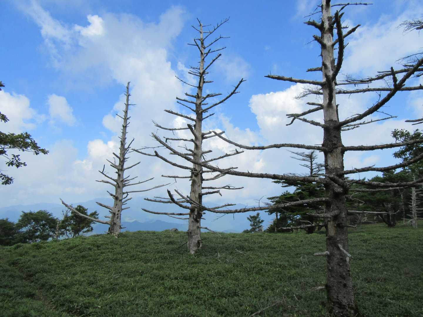 丸笹山-赤帽子山 周回コースの写真