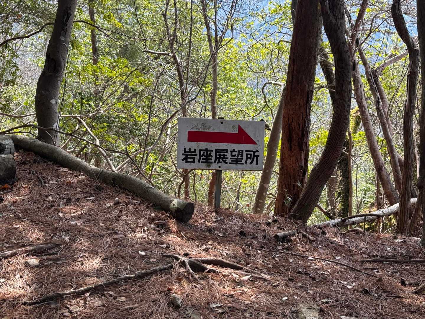 最初に現れた展望所