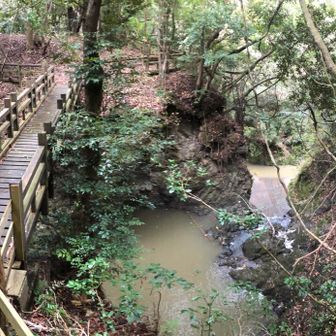 黒滝へは通行禁止
