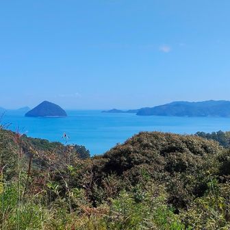 展望台からの眺望。　津久見島と臼杵湾