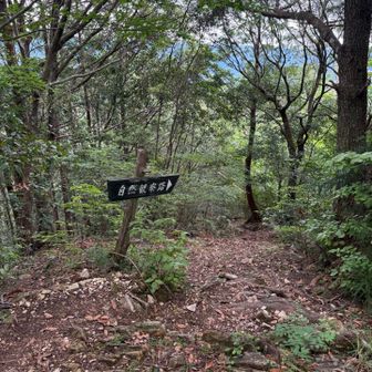 瑠璃山は近そうなので、足を伸ばしてみよー