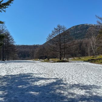 湯の丸高原キャンプ場と湯ノ丸山