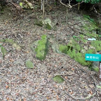 落陽コース終点から若杉山山頂へ