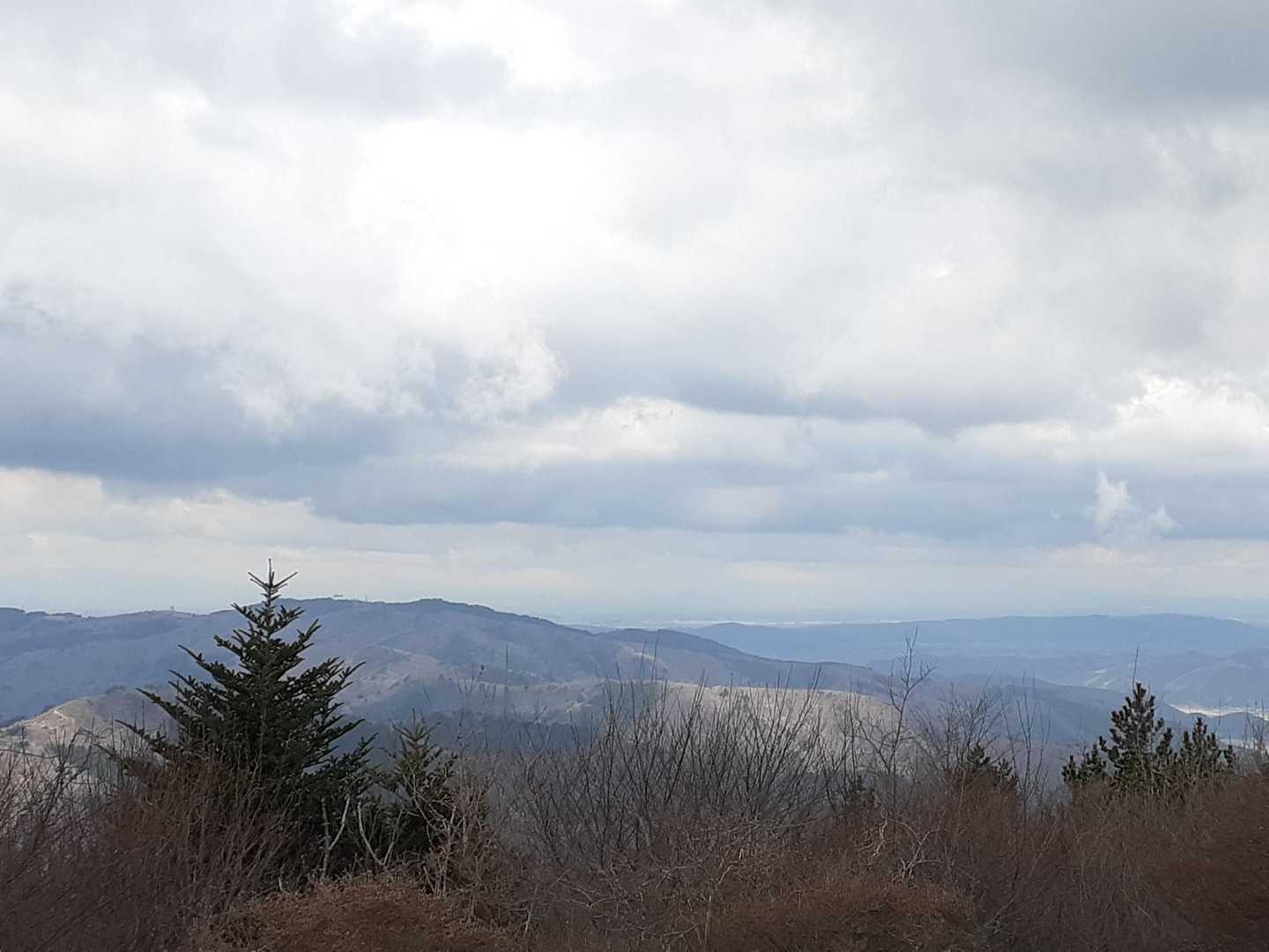 硯上山 往復コースの写真