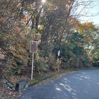 この辺りからドンデン山のピーク取れたと思います