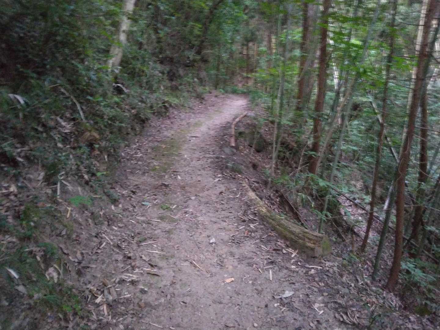 Ｍさんの整備のおかげで頂上までいい