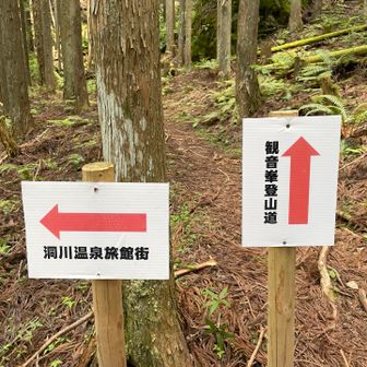 観音峯⛰️
行ってみたいですが
奈良にも熊🐻
怖くて無理です😭
