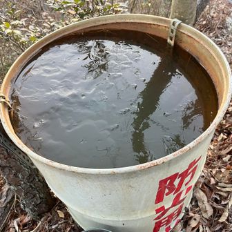 さすがに凍る🥶