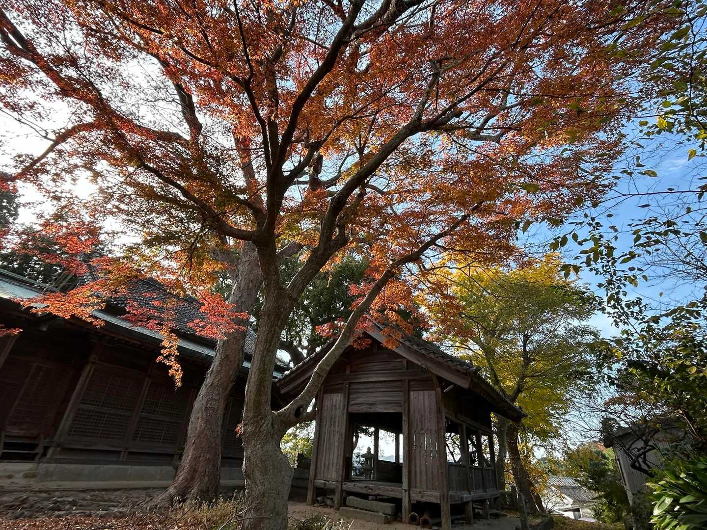 下の神社⛩️