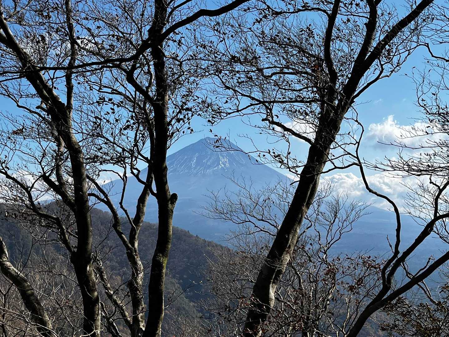 精進バス停-女坂峠-三方分山-精進峠 周回コースの写真