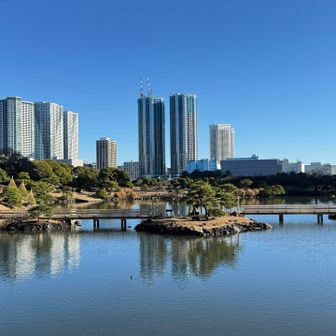 　浜離宮恩賜庭園（はまりきゅうおんしていえん、入園料300円）。
　潮入の池（しおいりのいけ）は、都内で唯一現存する海水の池で、潮の干満によって水位が変化する。
　お伝い橋（おつたいばし）は、池の岸と「中島の御茶屋」を結ぶ総檜造りの橋である。
　背後の汐留エリアを見ると、左手にパークタワー汐留（住宅）、中央にクレーンを載せた二棟の東京ツインパークス（住宅）、右手に東京汐留ビルディング（オフィス）が並ぶ。

　江戸時代から続く大名庭園の伝統的な景観と、その背後にそびえ立つ現代的な超高層ビル群とのコントラストが印象的だ。